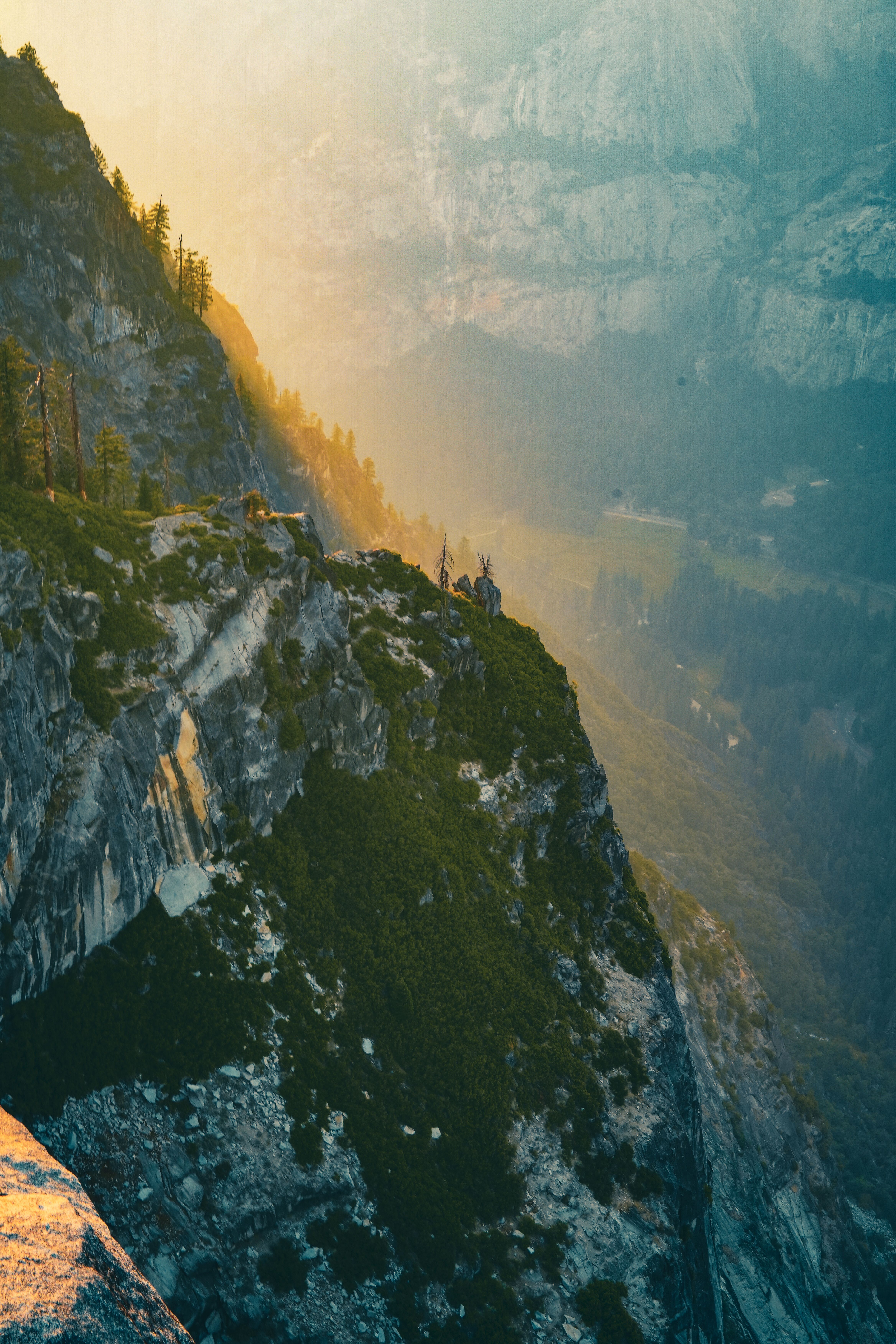 Granite cliffs and pine forest in Yosemite National Park under clear blue sky