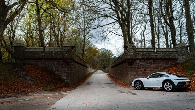 A sleek white sports car parked amidst a picturesque autumn forest landscape.