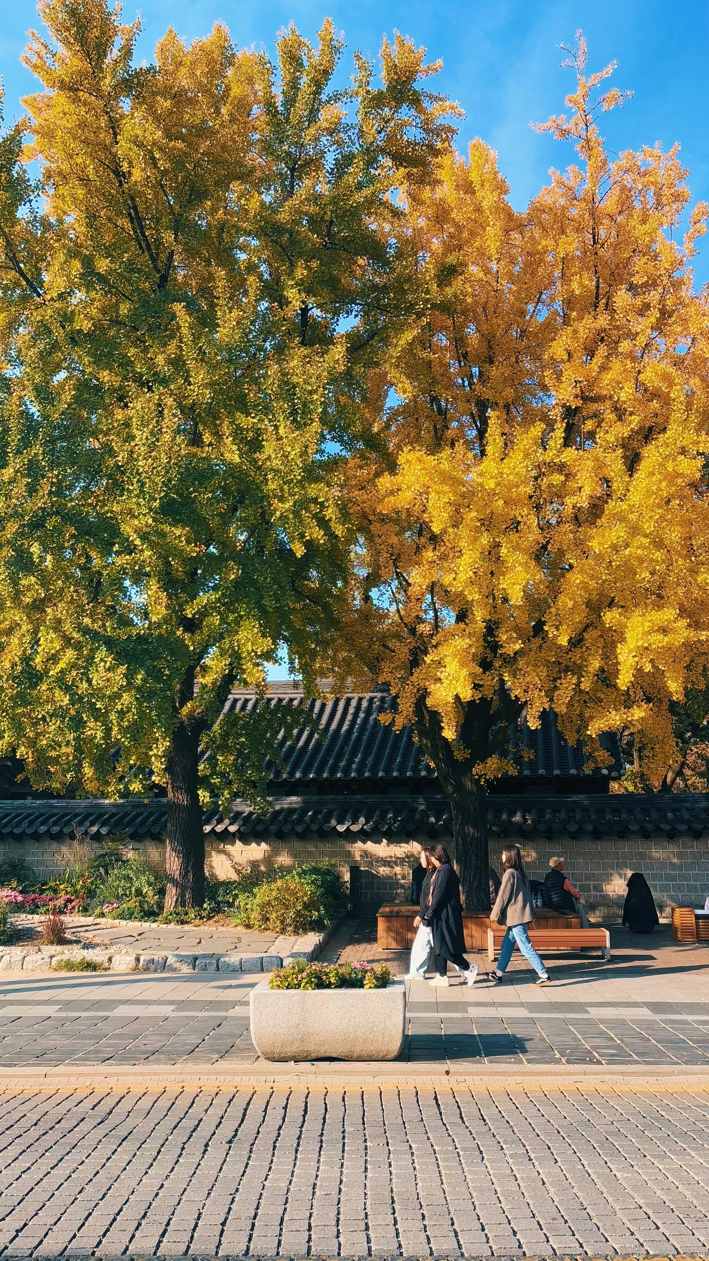 전주성