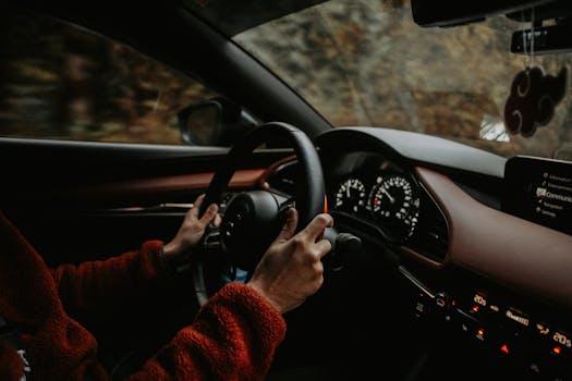 A person driving in a car with a focus on the steering wheel and autumn scenery outside.