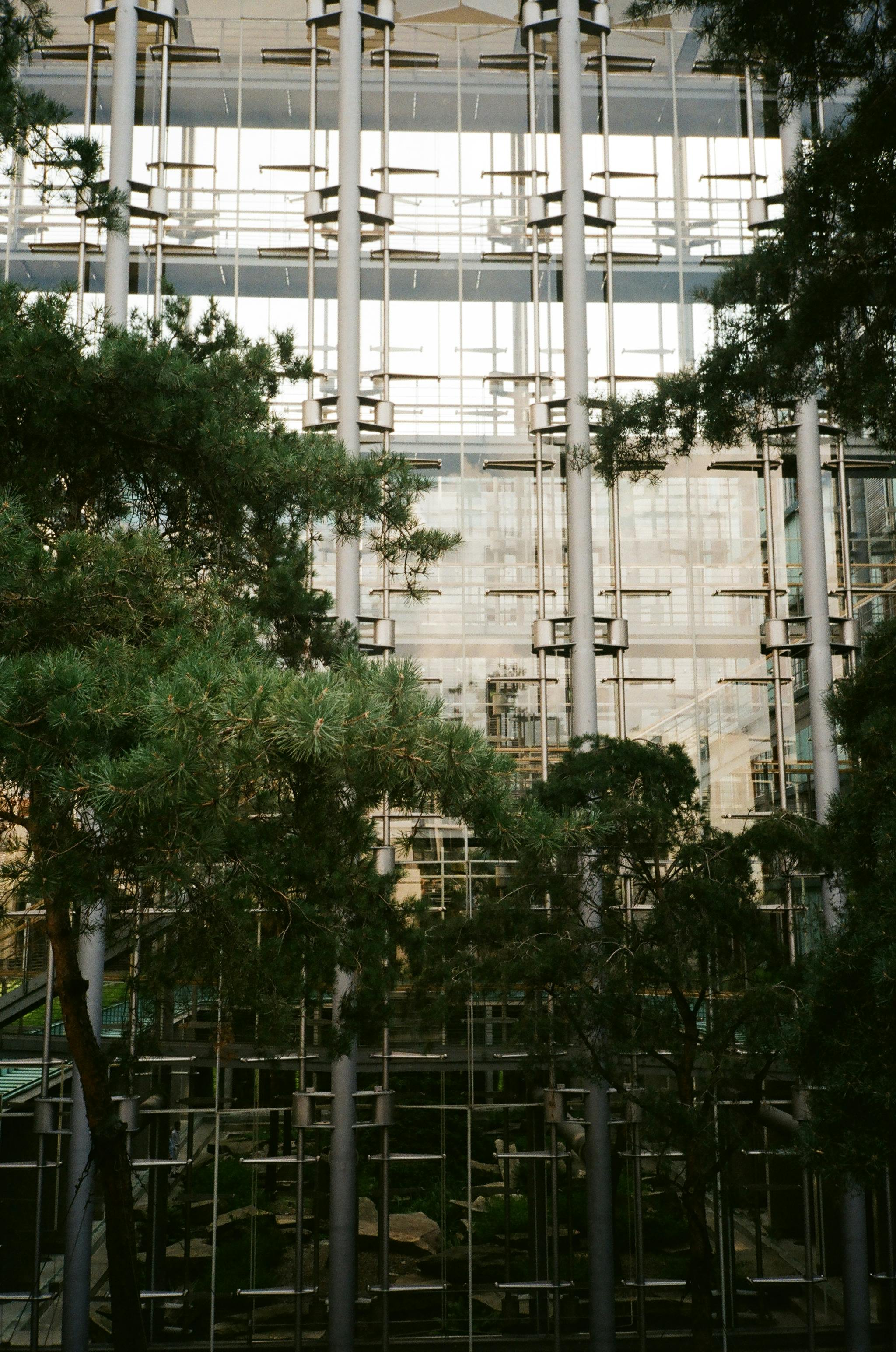 城市树木环绕着现代玻璃建筑立面