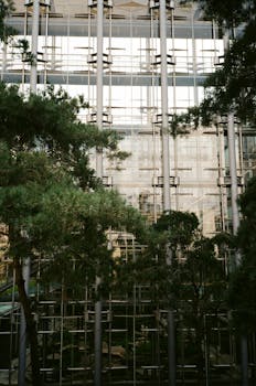 城市树木环绕着现代玻璃建筑立面