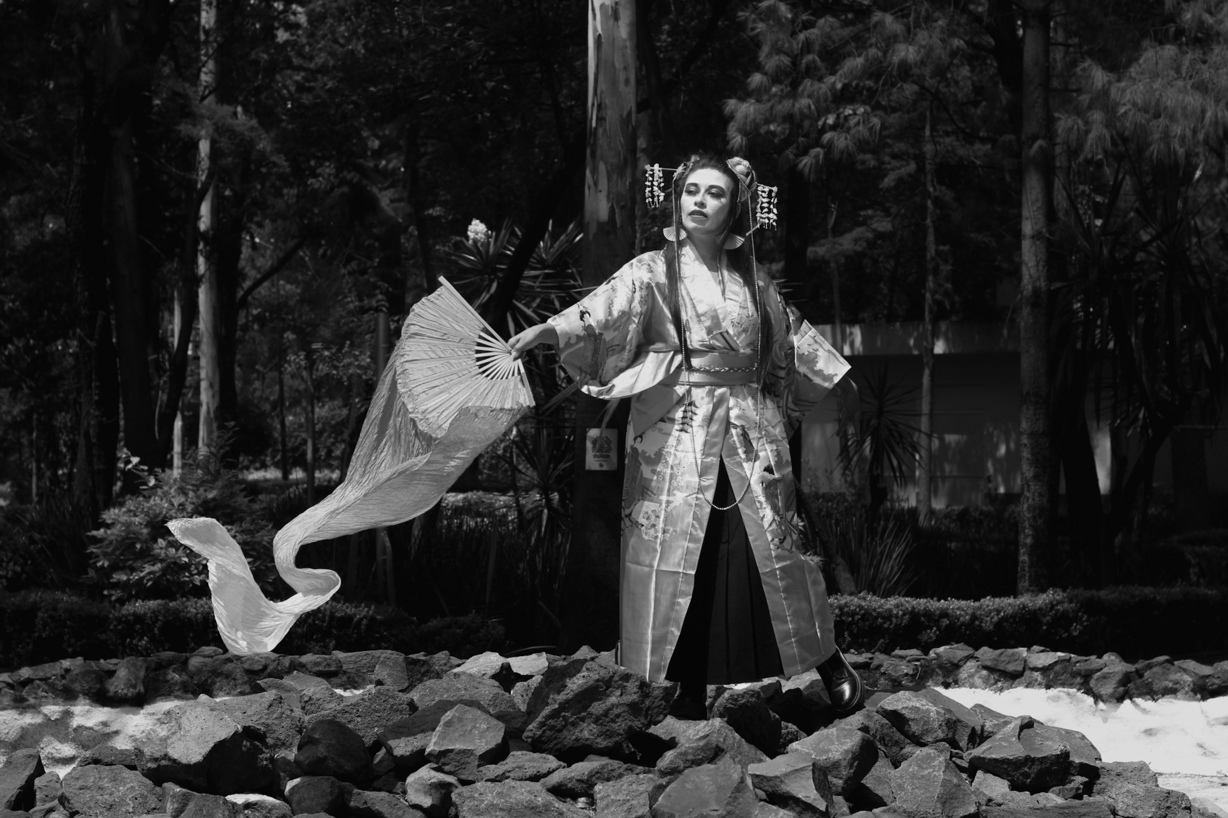Black and White Geisha with Traditional Attire · Free Stock Photo