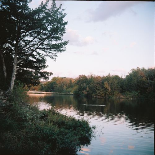 Free Tranquil river scene with lush green trees and a serene riverbank at sunset. Stock Photo