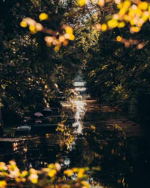 Free Peaceful canal view surrounded by lush trees in Potsdam, Germany. Stock Photo