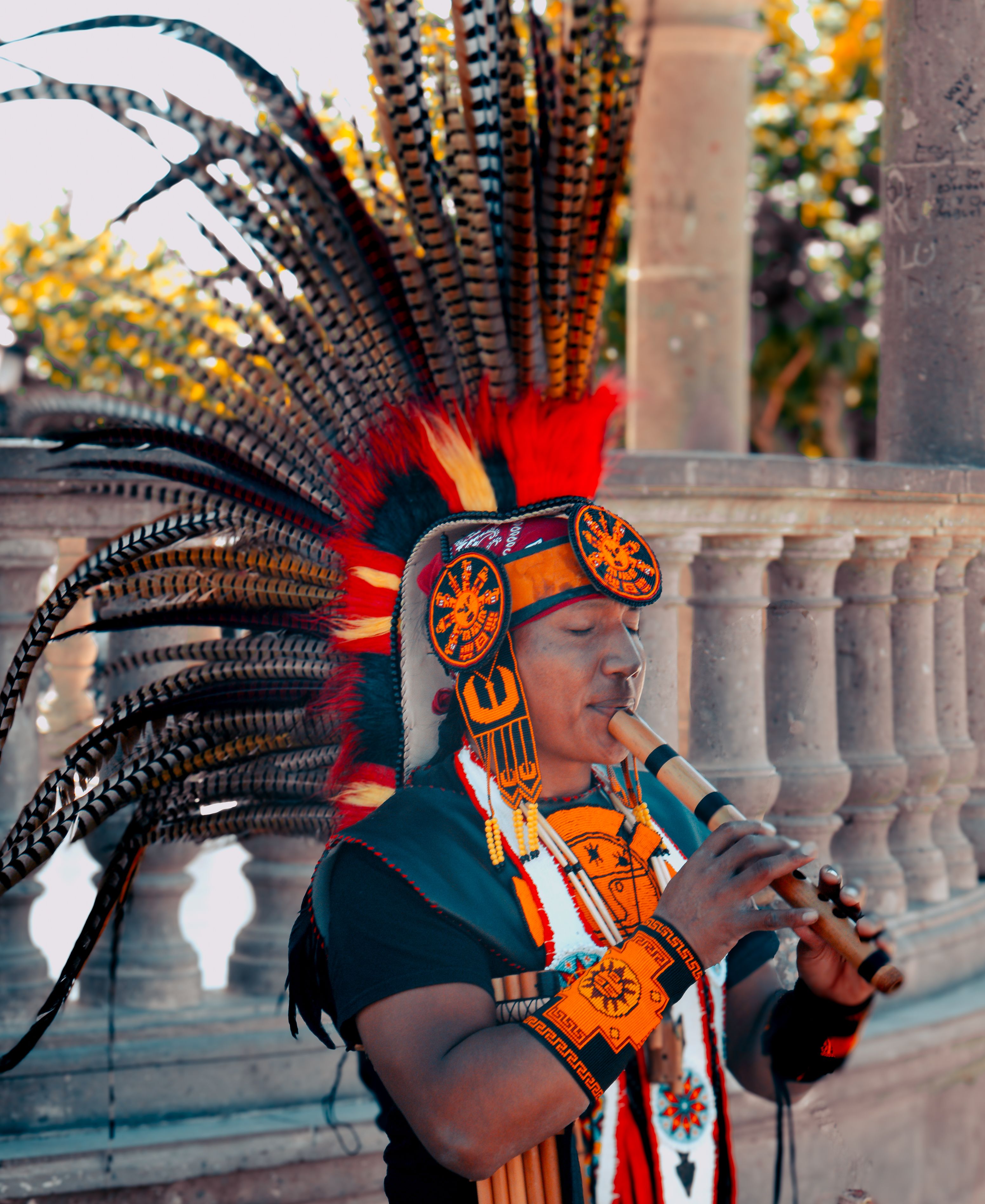Traditional Indigenous Musician with Headdress · Free Stock Photo