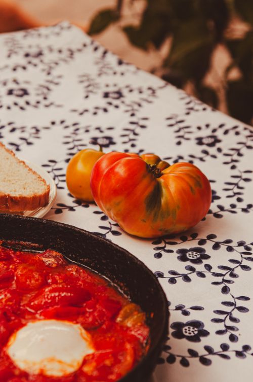 Free A rustic brunch setting with shakshuka, heirloom tomatoes, and bread on a patterned tablecloth. Stock Photo