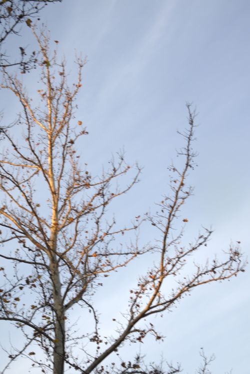 Free autumn Stock Photo