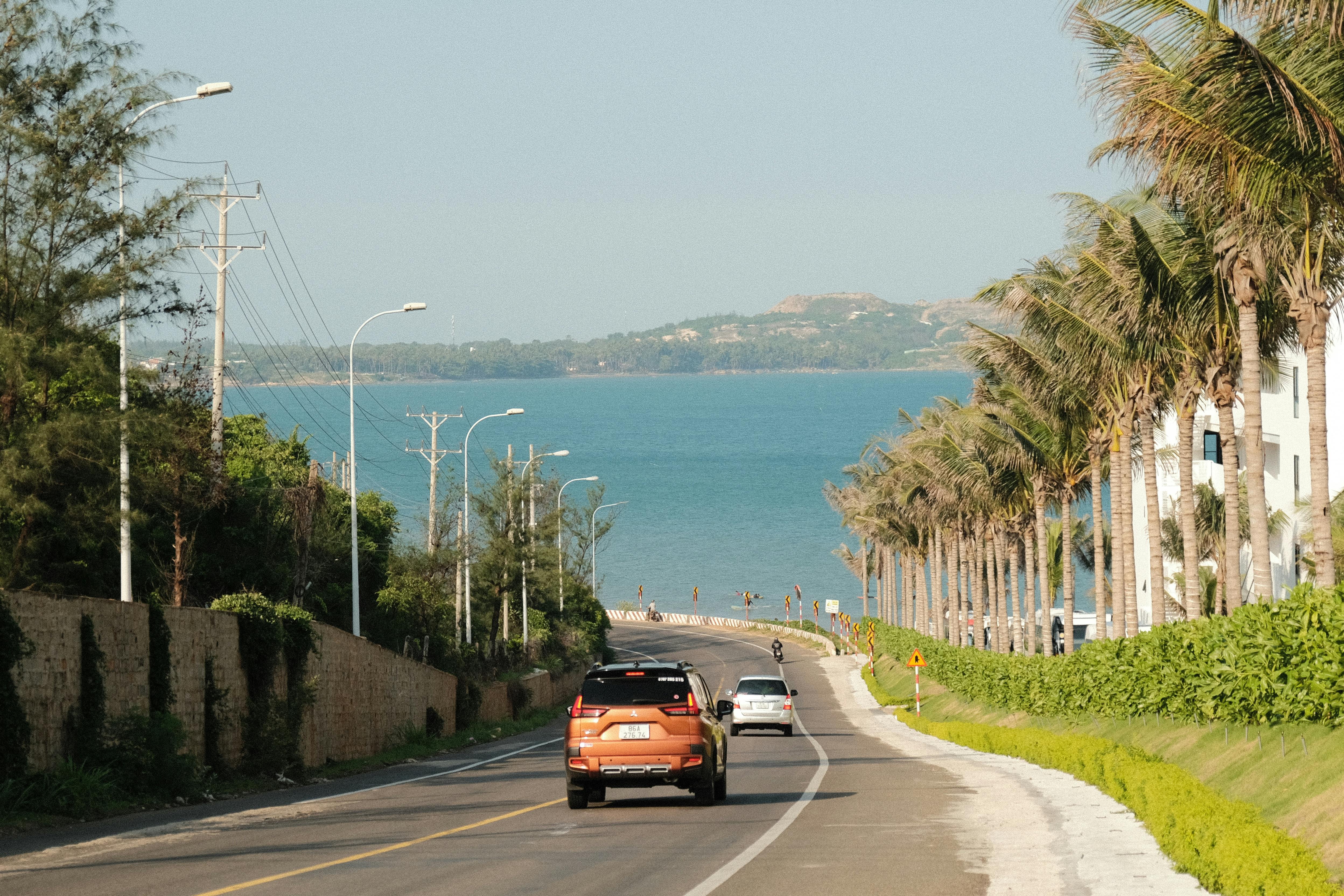 Toyota recalls Corolla Cross Hybrid SUVs over pedestrian warning sound issue — Photo by Peter Chang on Pexels