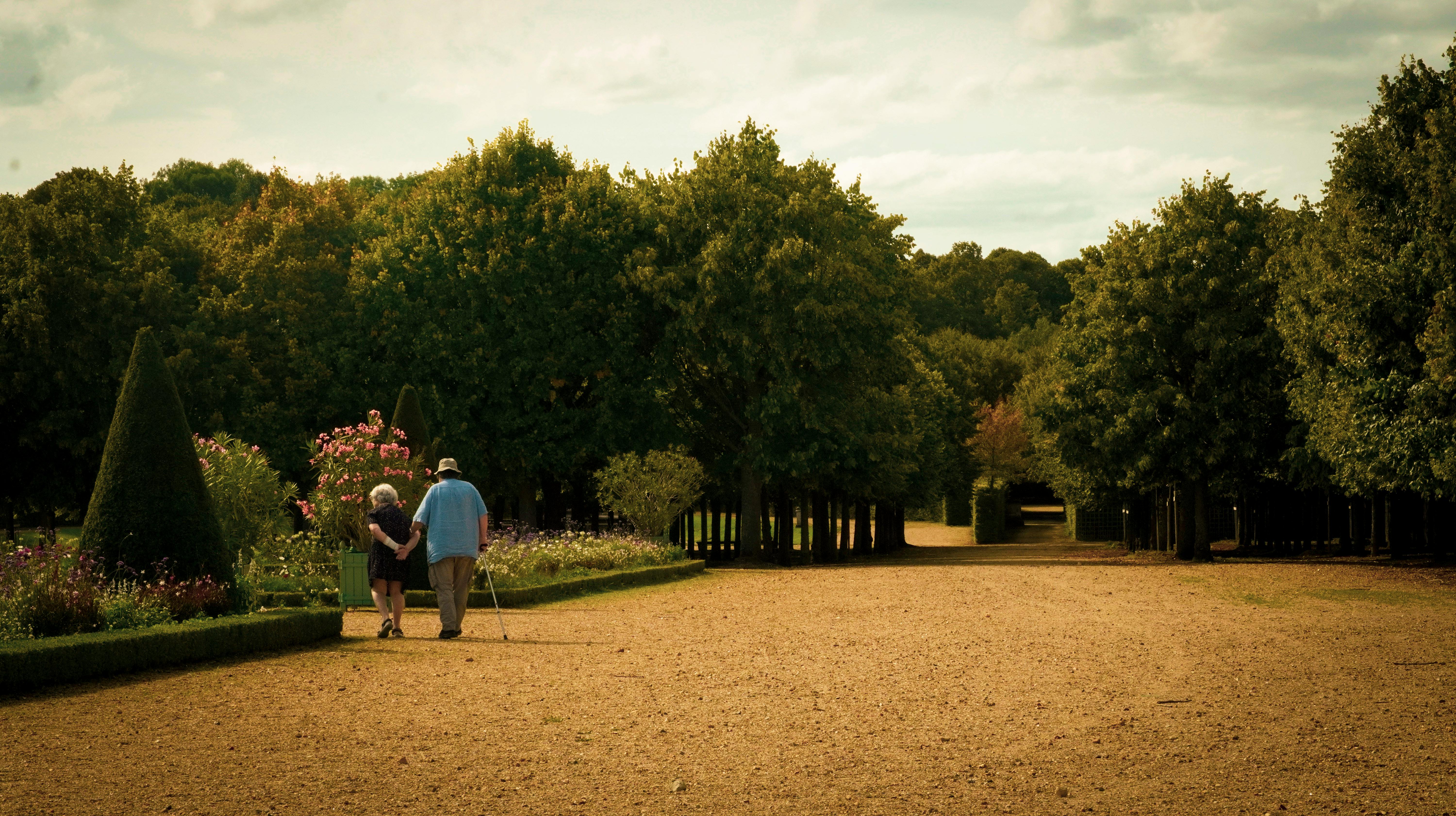 How Will AI Affect Financial Planning for Retirement? — Photo by Nadejda Bostanova on Pexels