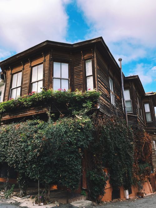 Free Beautiful wooden house facade draped in flourishing greenery against a blue sky. Stock Photo