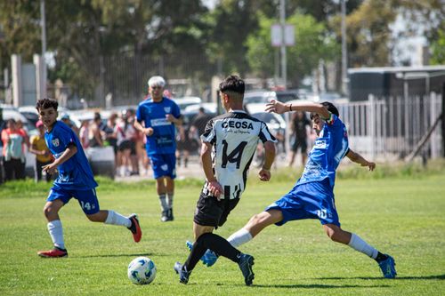 Free Young soccer players in action during a competitive outdoor match on a sunny day. Stock Photo