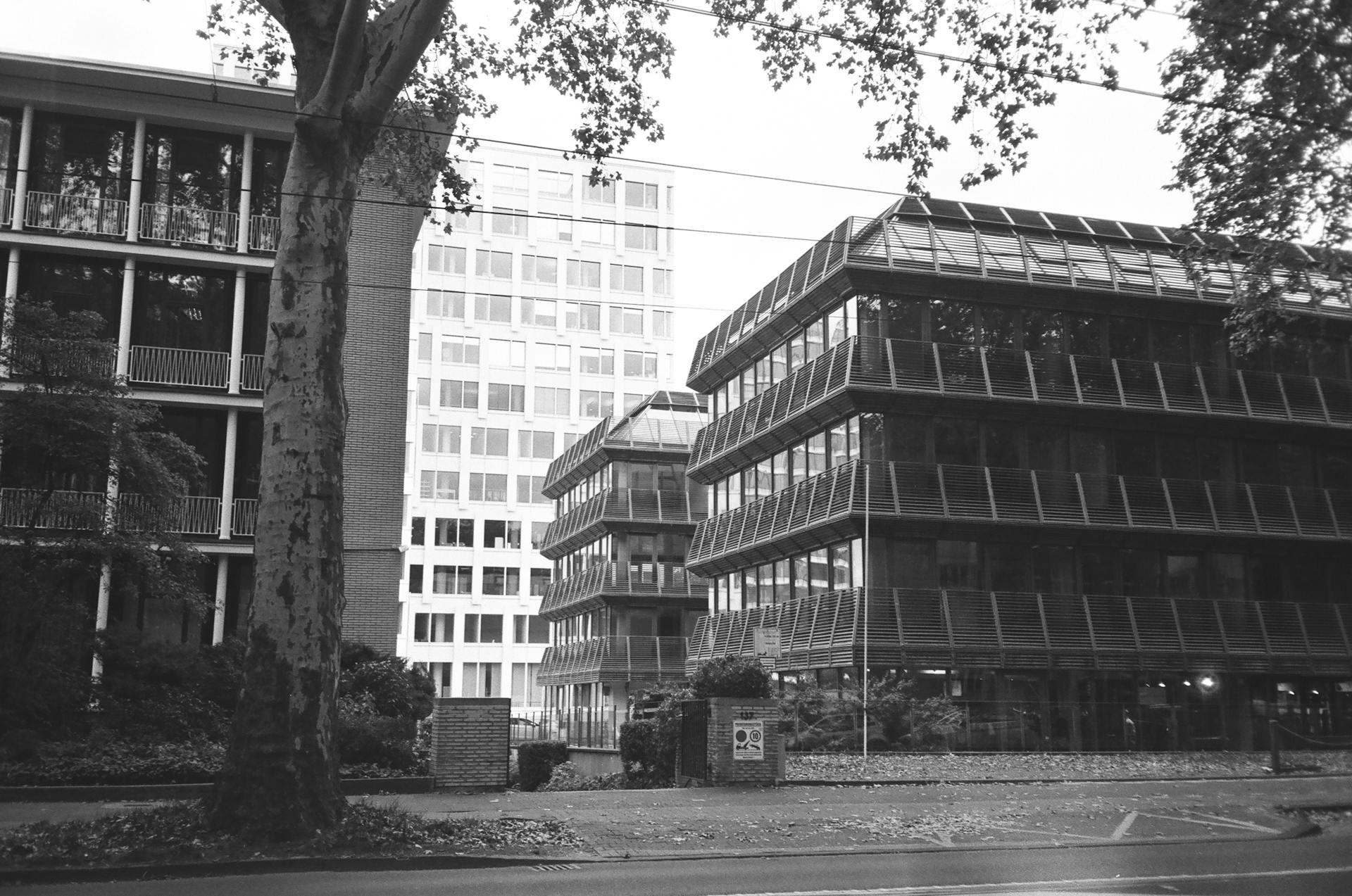 Commercial Buildings in Monochrome Image