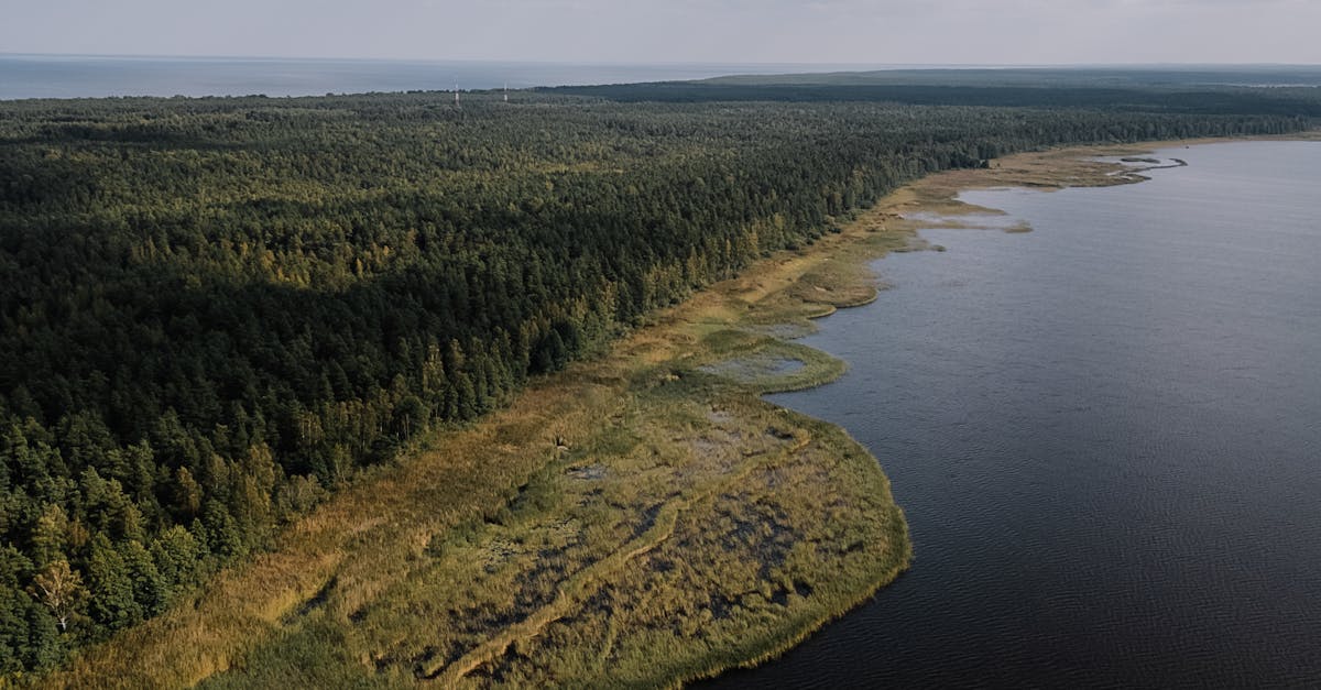 A traditional Valencian paella cooking over an open fire.