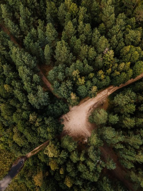 Free Aerial photograph showing a forest intersection with dense green trees and a dirt path. Stock Photo