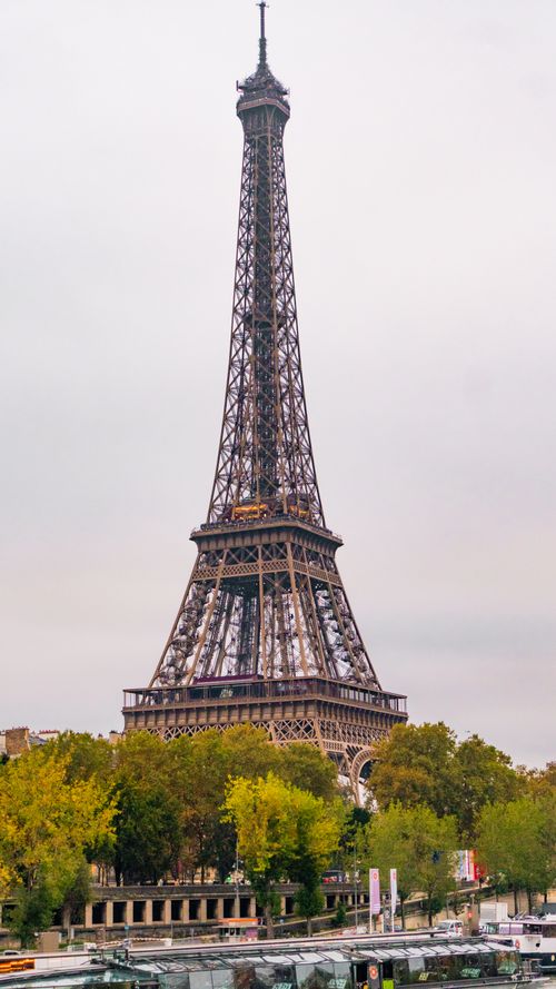 Free Captivating view of the Eiffel Tower surrounded by autumn foliage in Paris, France. Stock Photo