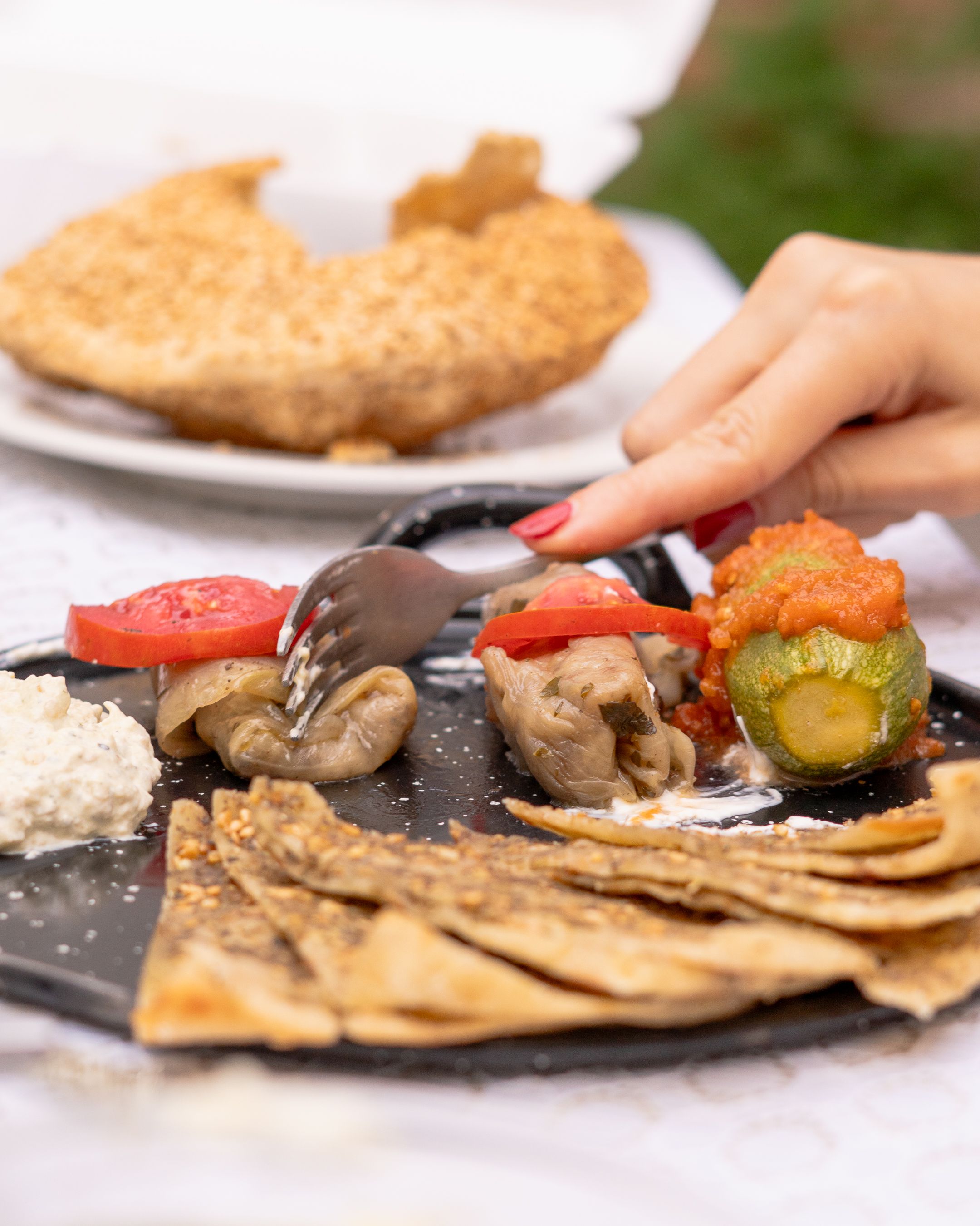 Ceviche, empanada, Şili şarabı