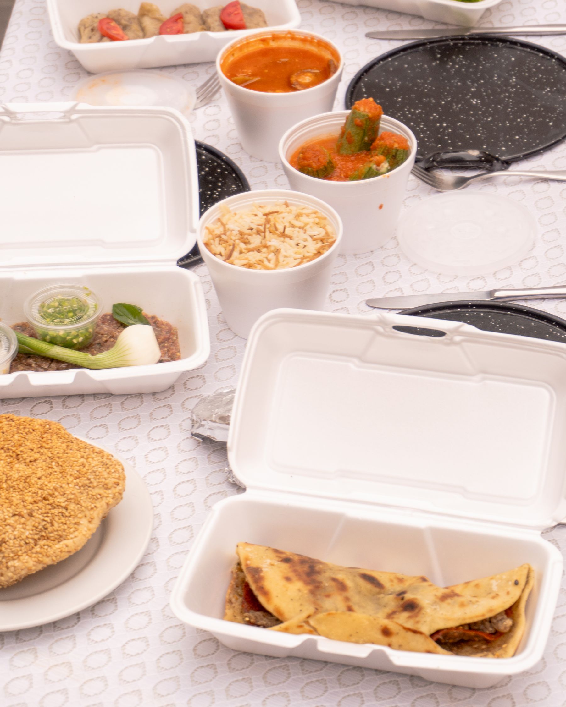 Middle Eastern takeout containers with shareable dishes