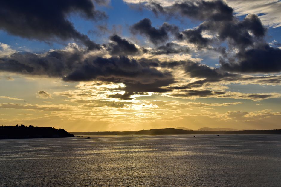Bellingham