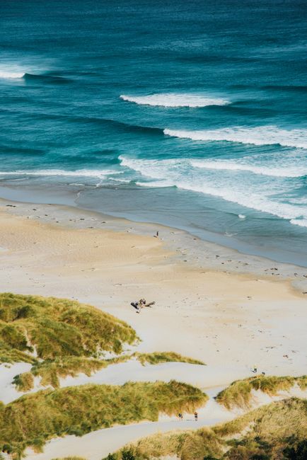Aerial photograph of a serene beach with rolling waves and lush sand dunes.