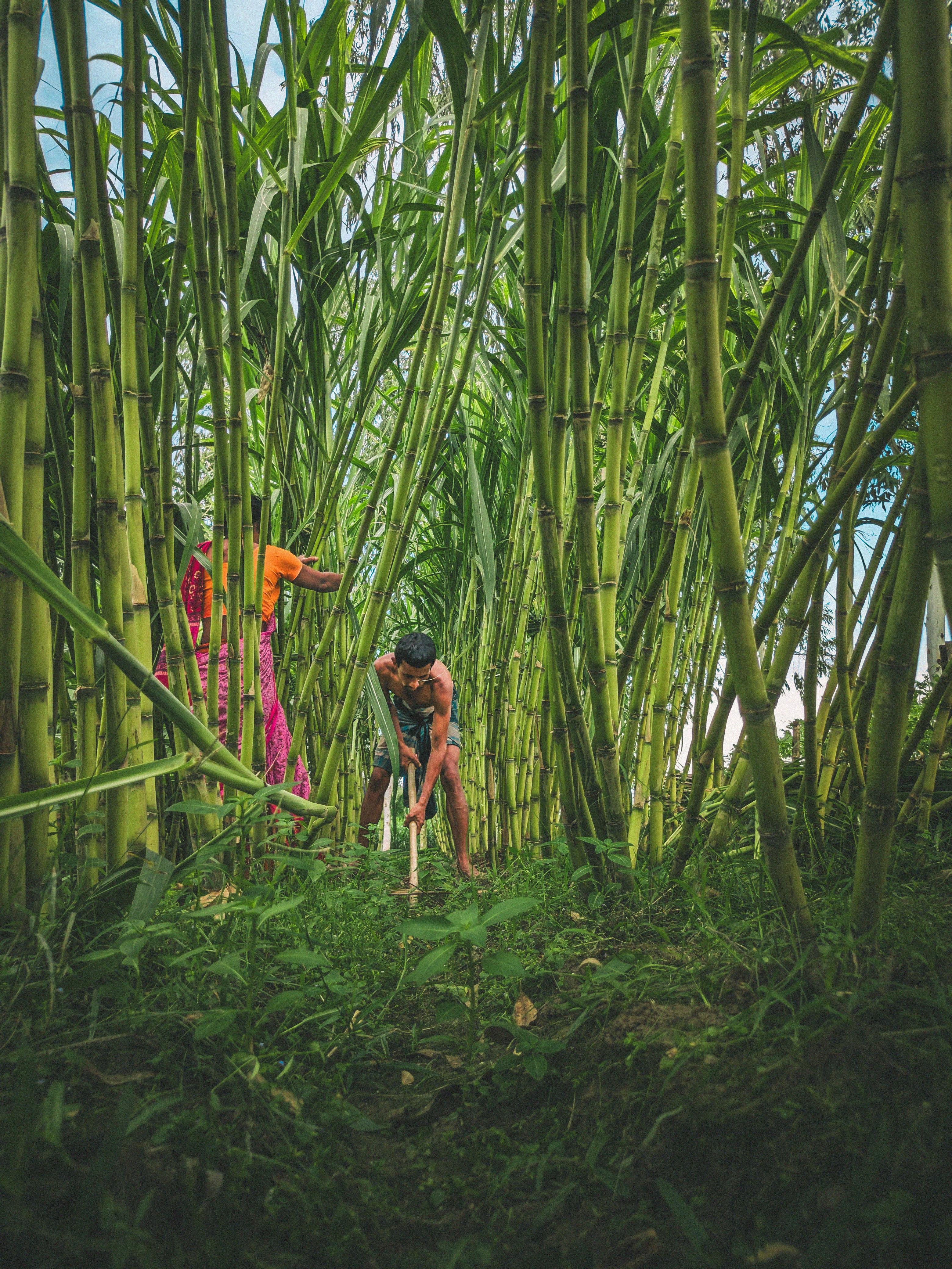 Building A Sustainable Business - A Guide To Developing A Business Plan For Farms And Rural Businesses