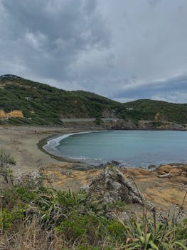 Discover a serene coastal vista in New Zealand with lush hills and calm waters.