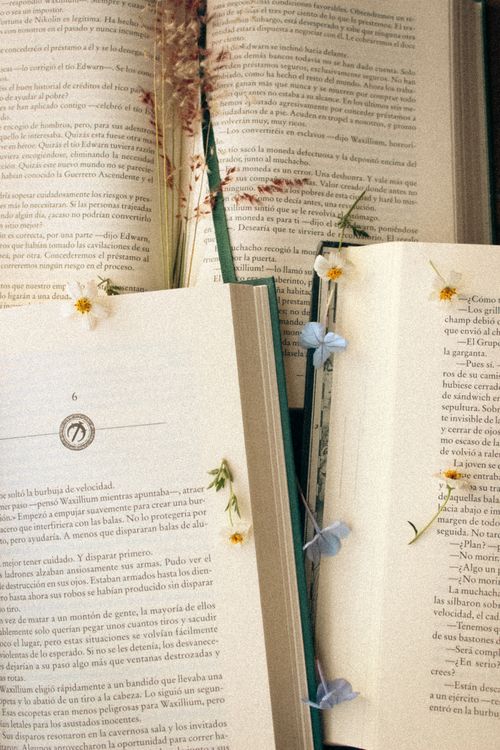 Free Artistic display of open books with pressed flowers between pages, creating a vintage and literary vibe. Stock Photo