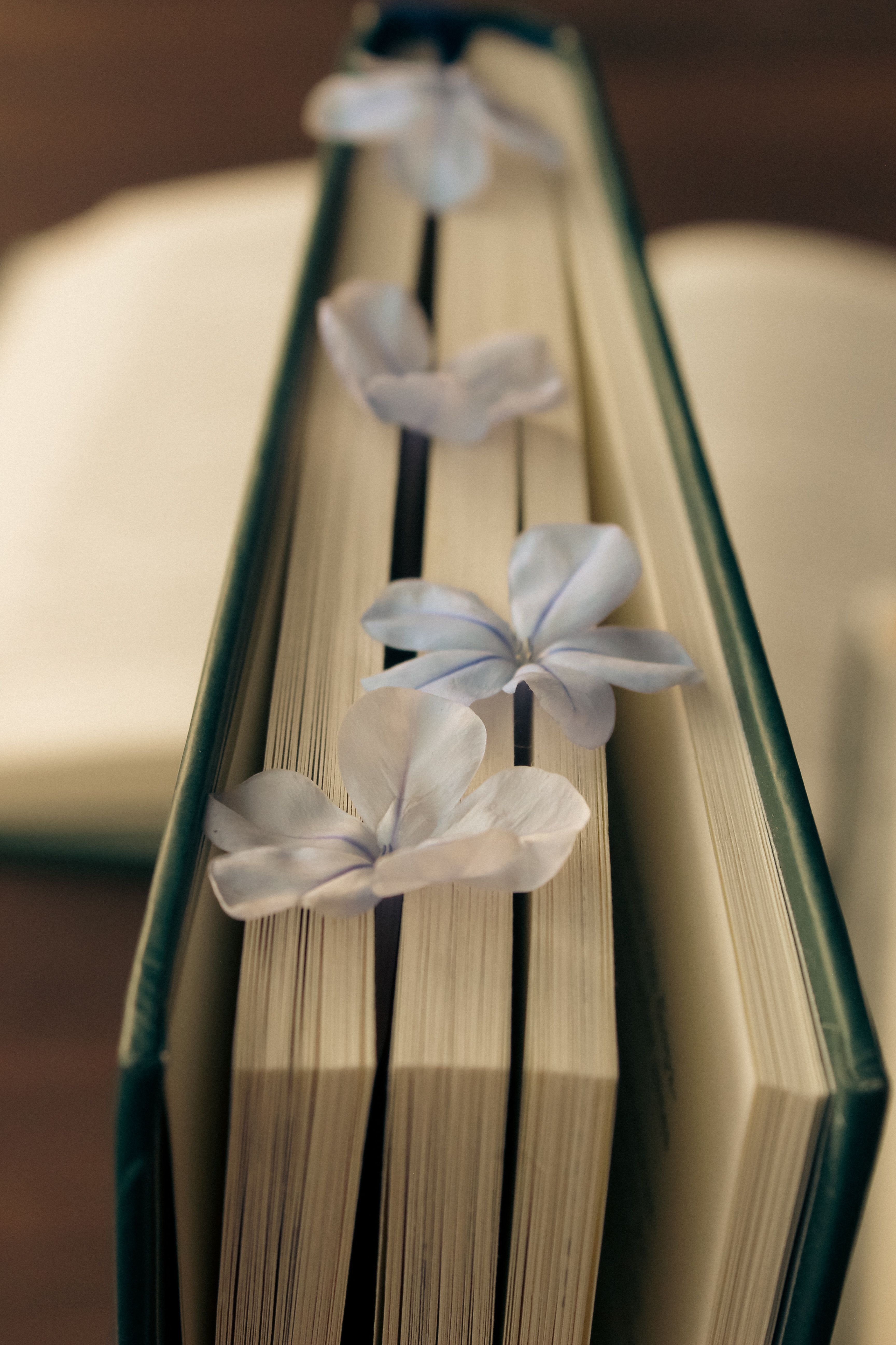 Social Bookmarking Secrets