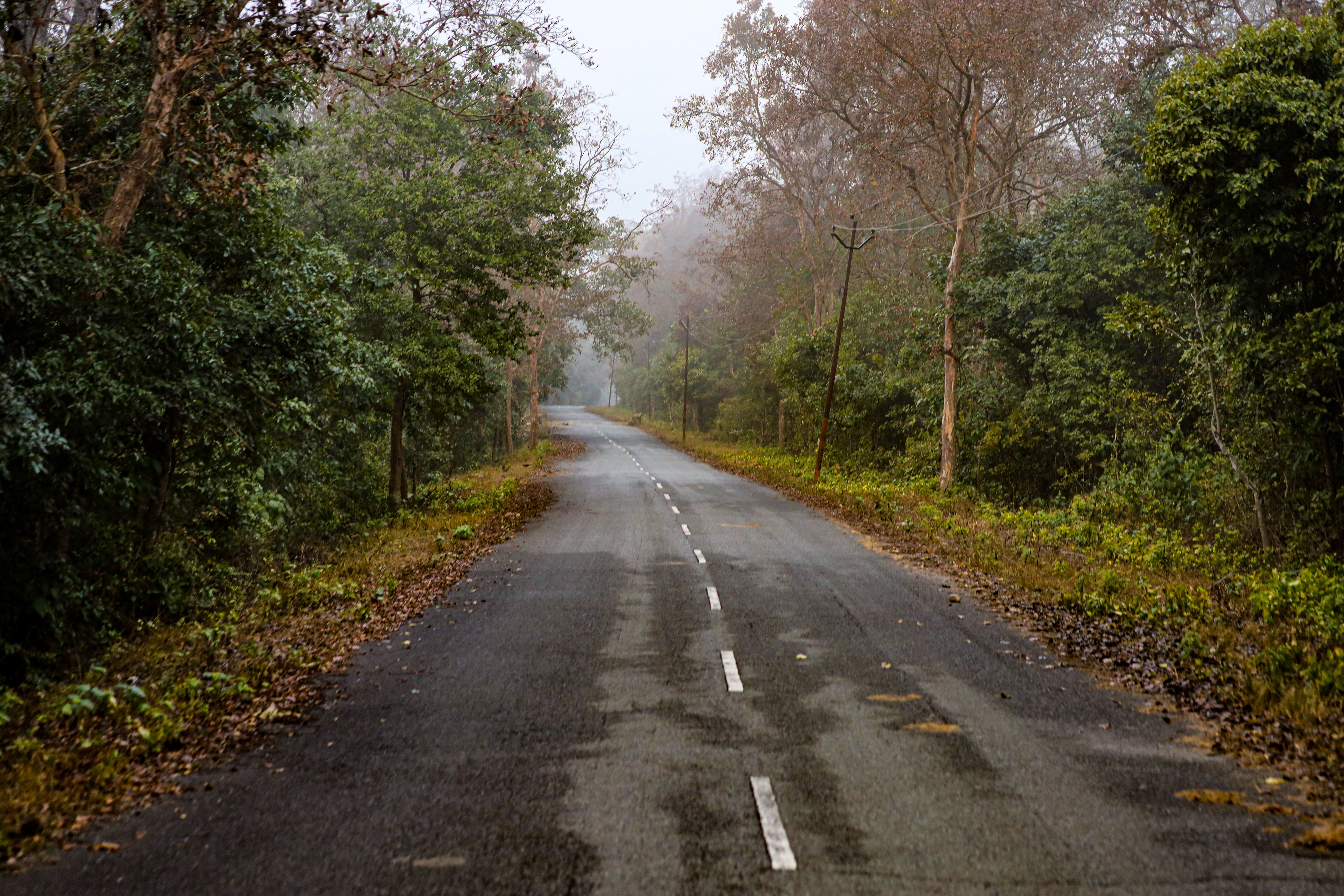 Kushalnagar to Madikeri Distance: Route Guide & Travel Times