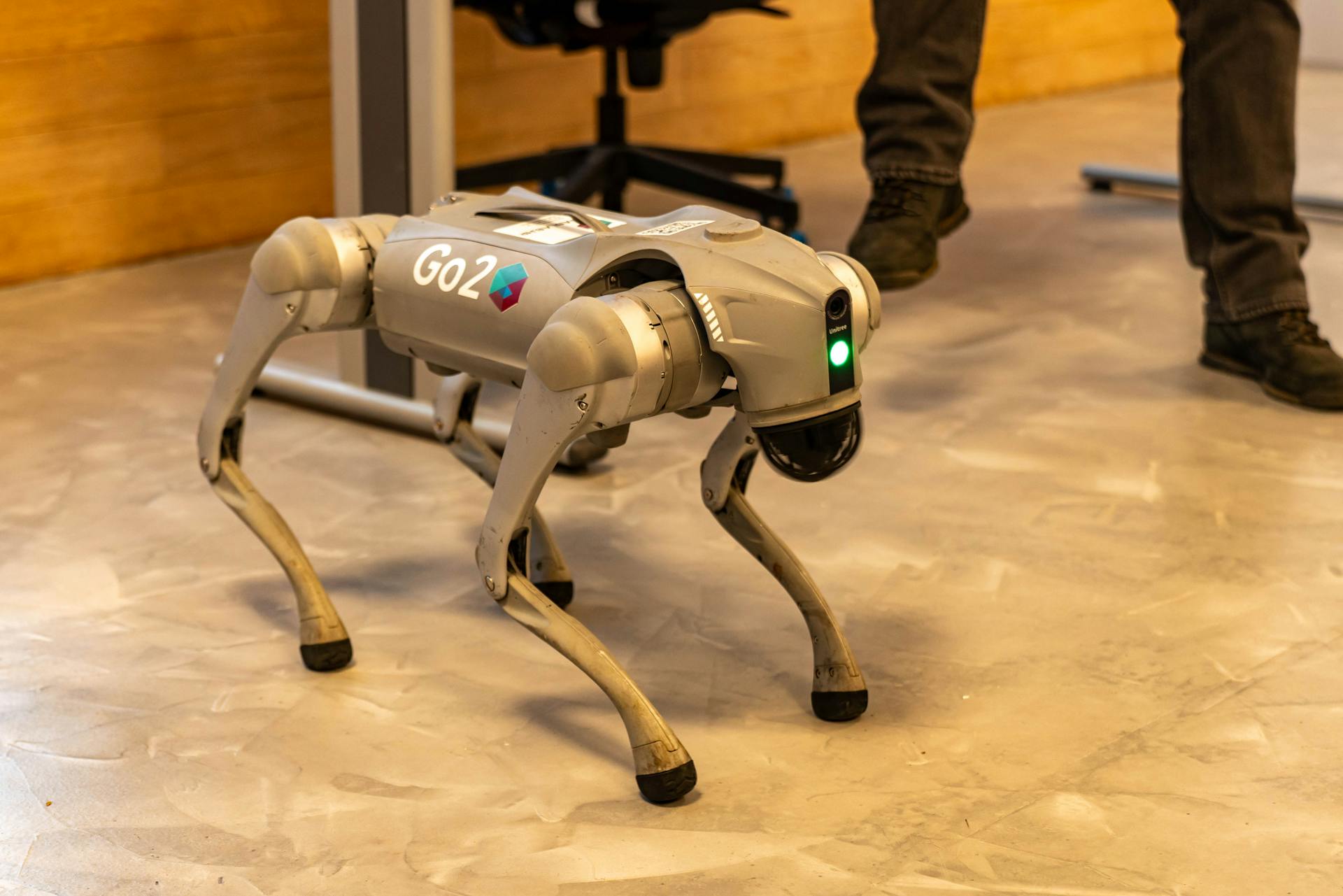 A robotic dog stands indoors, showcasing advanced technology with a sleek design.