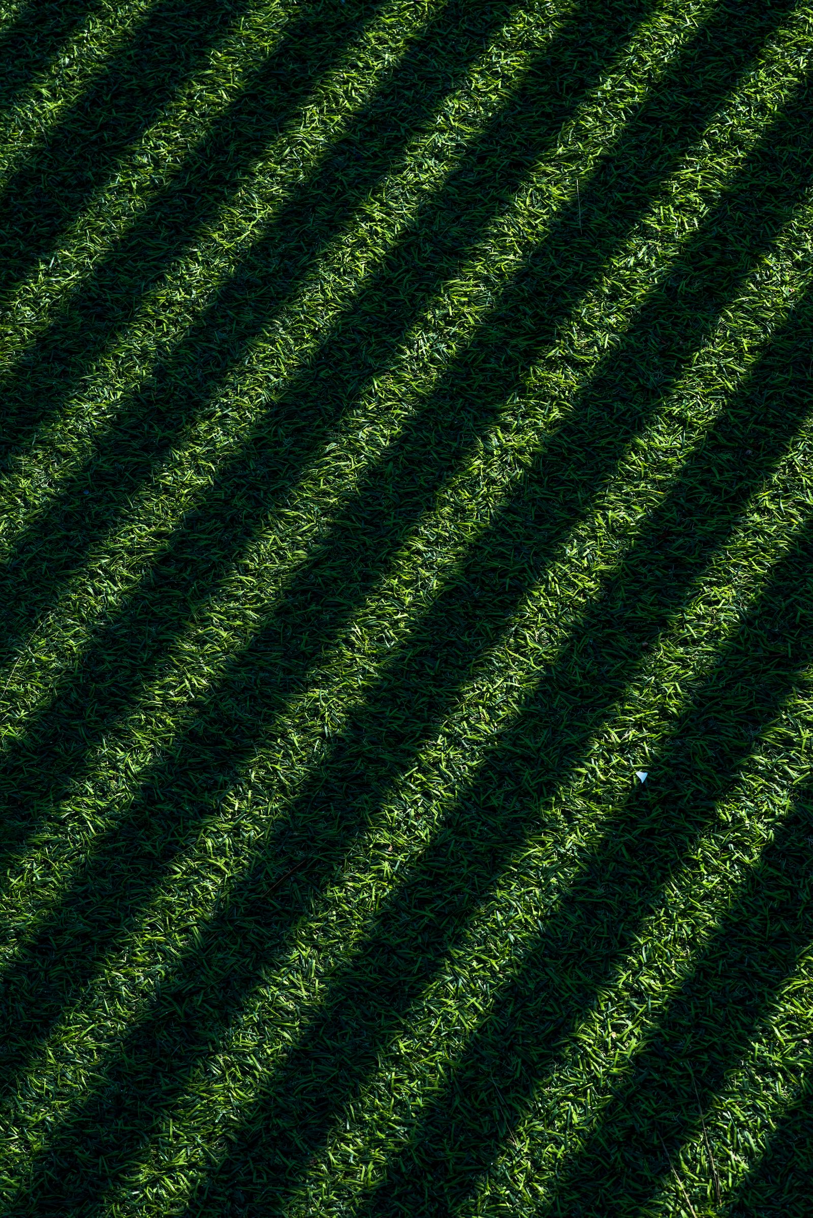 Striped shadows falling across a green lawn (stock photo)