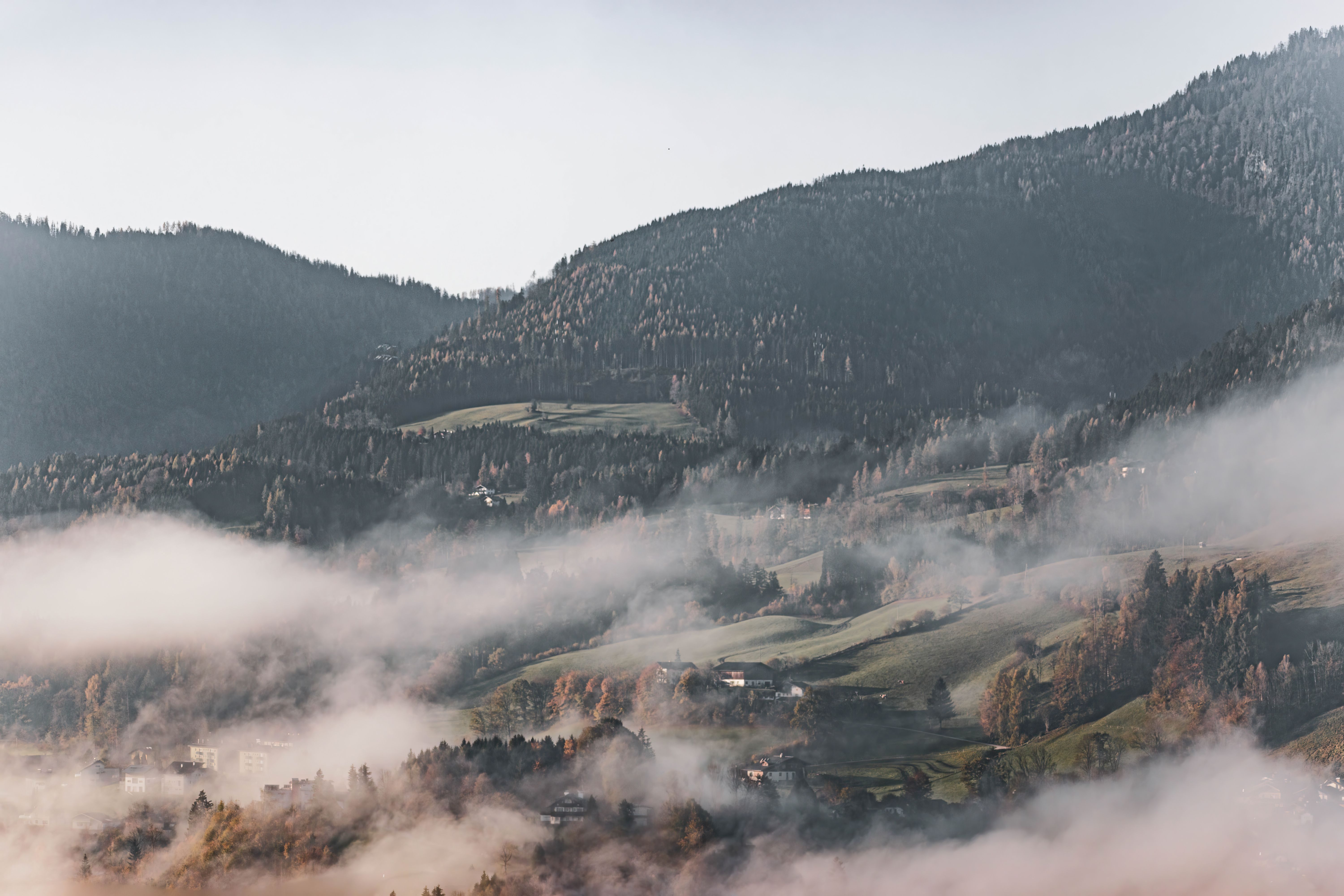 Misty Hills and Forest Landscape at Sunrise · Free Stock Photo