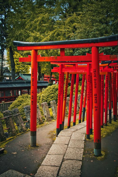 Japanese Gate Structures Scenic Red Torii Gates in Japanese Shrine · Free Stock Photo