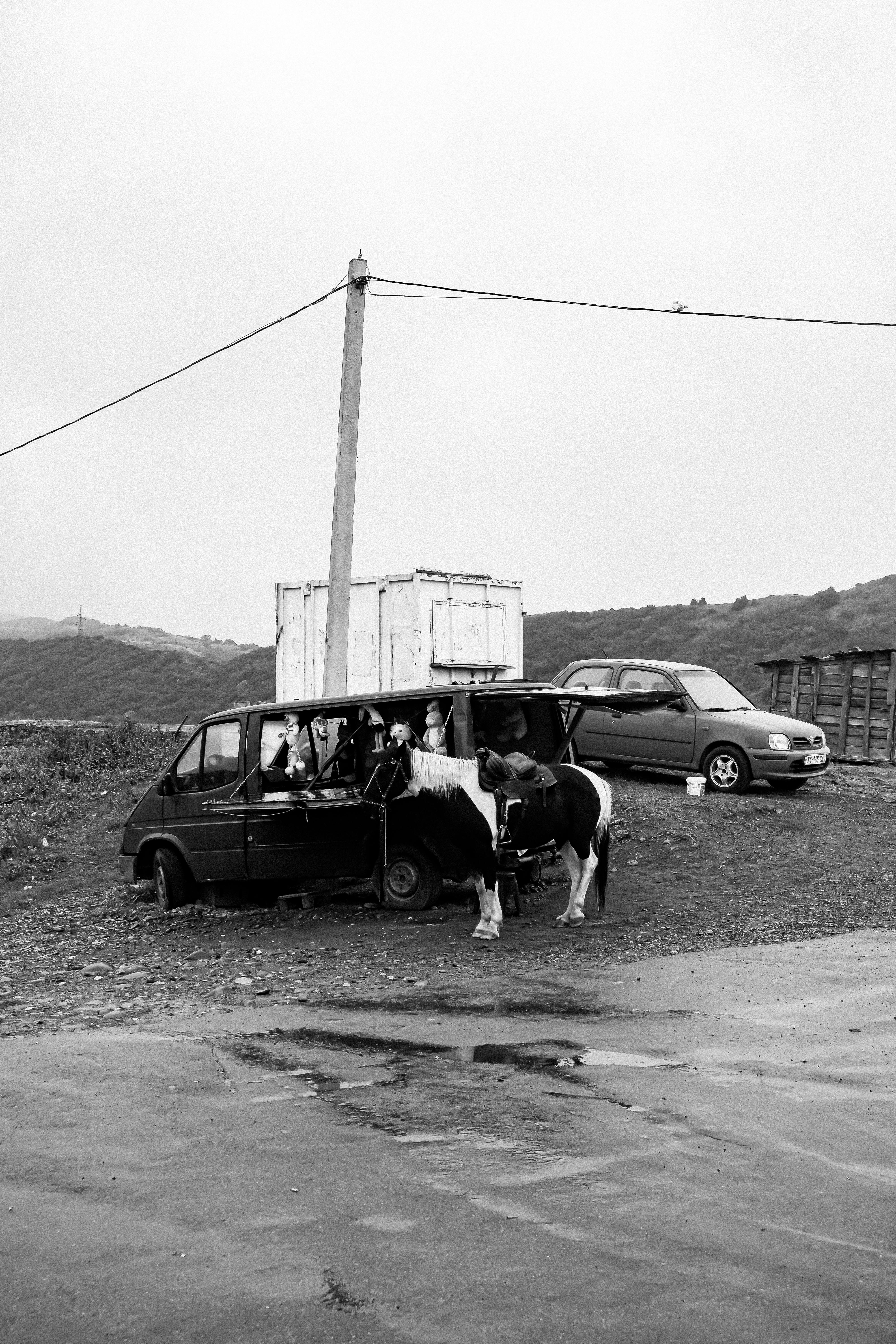 Black and white photo of a rural scene in Georgia featuring a horse and an abandoned vehicle.