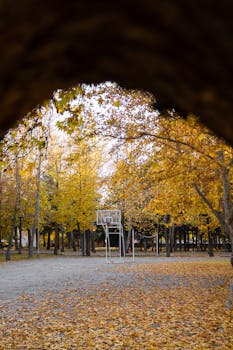 Empty outdoor basketball court surrounded by golden autumn leaves and trees.