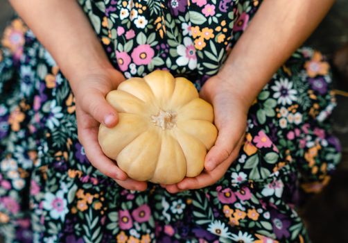 Close-up of hands holding a small pumpkin against a floral dress, representing autumn harvest.