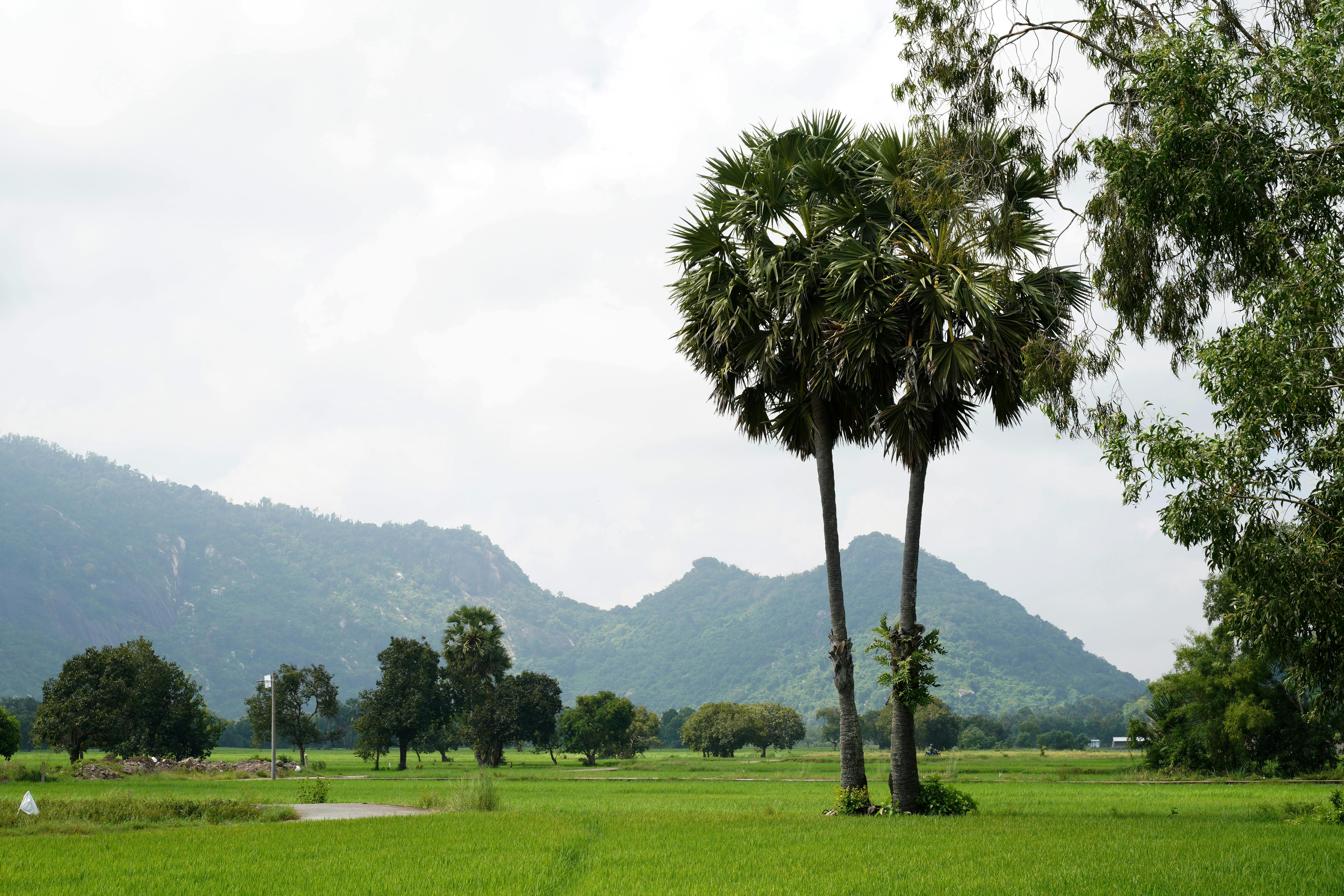 Sensory Journey Through Scents: Uncover the Hidden World of Scent Exploration