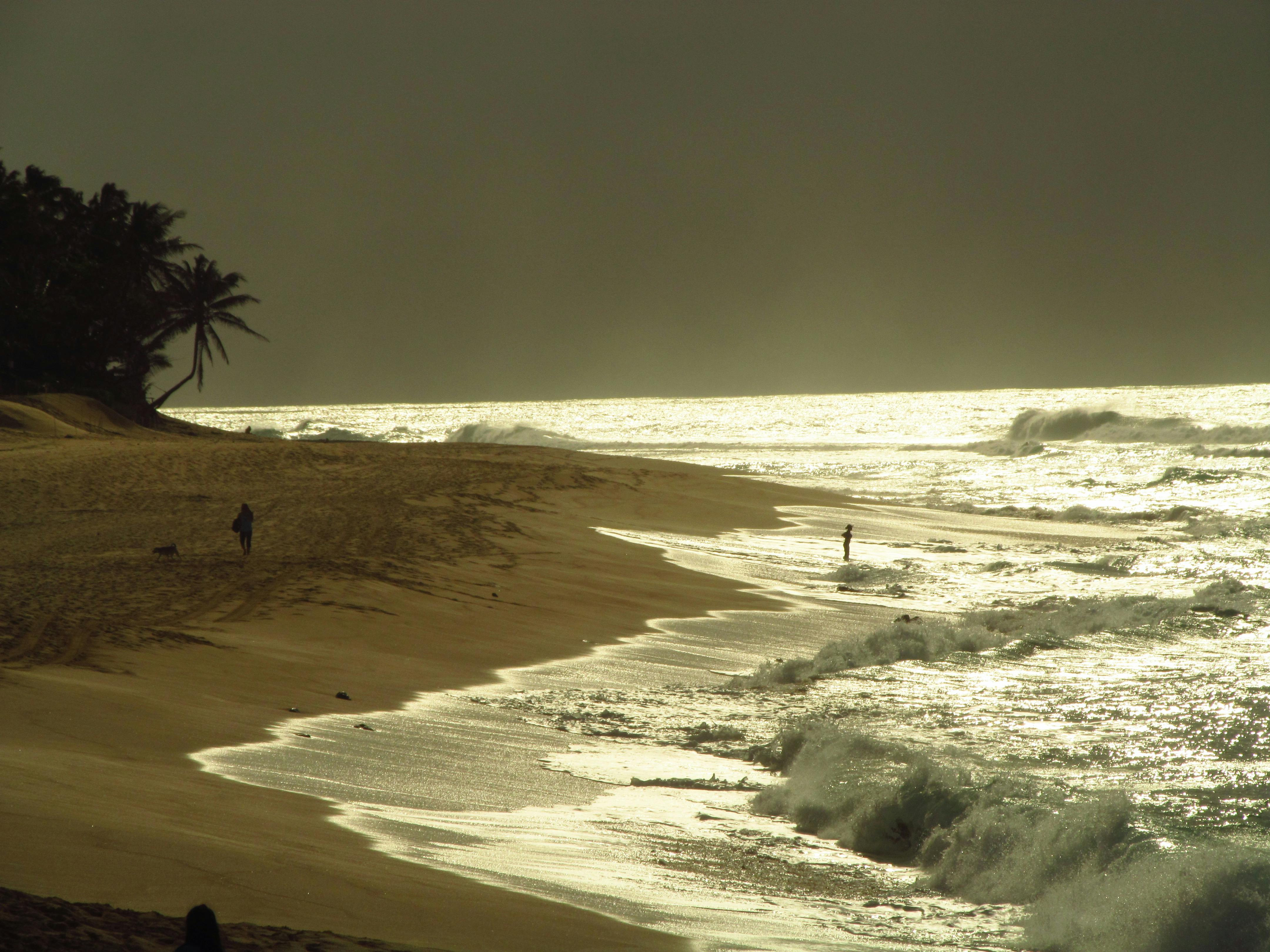 Free stock photo of shine beach waves sun