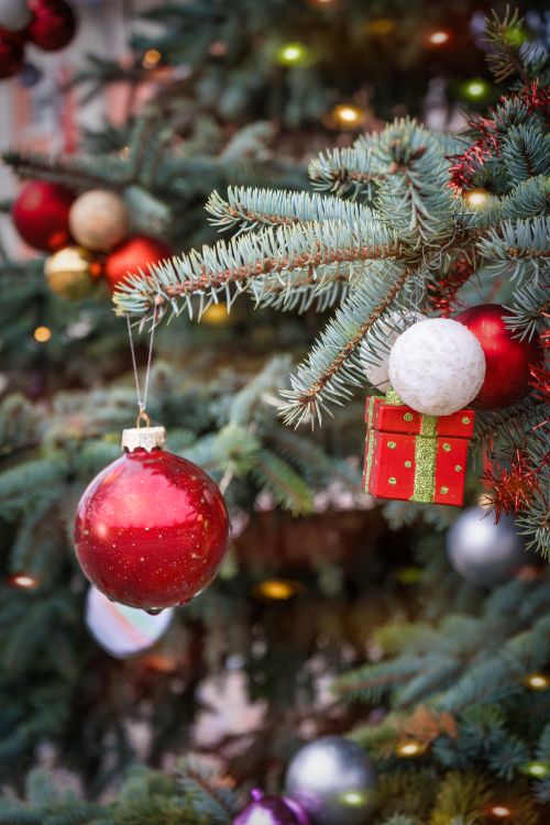 Free Close-up of Christmas tree with red ornaments and small gift box, evoking holiday spirit. Stock Photo