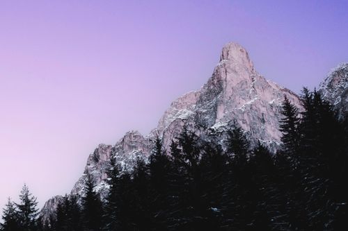 Free Stunning view of a snow-capped mountain peak surrounded by a dark forest at twilight. Stock Photo