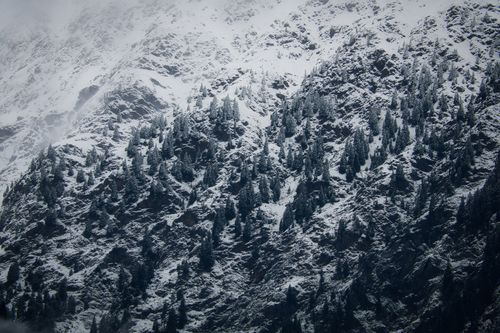 Free Dramatic view of snow-covered mountains and trees in Schenna, Italy. Stock Photo