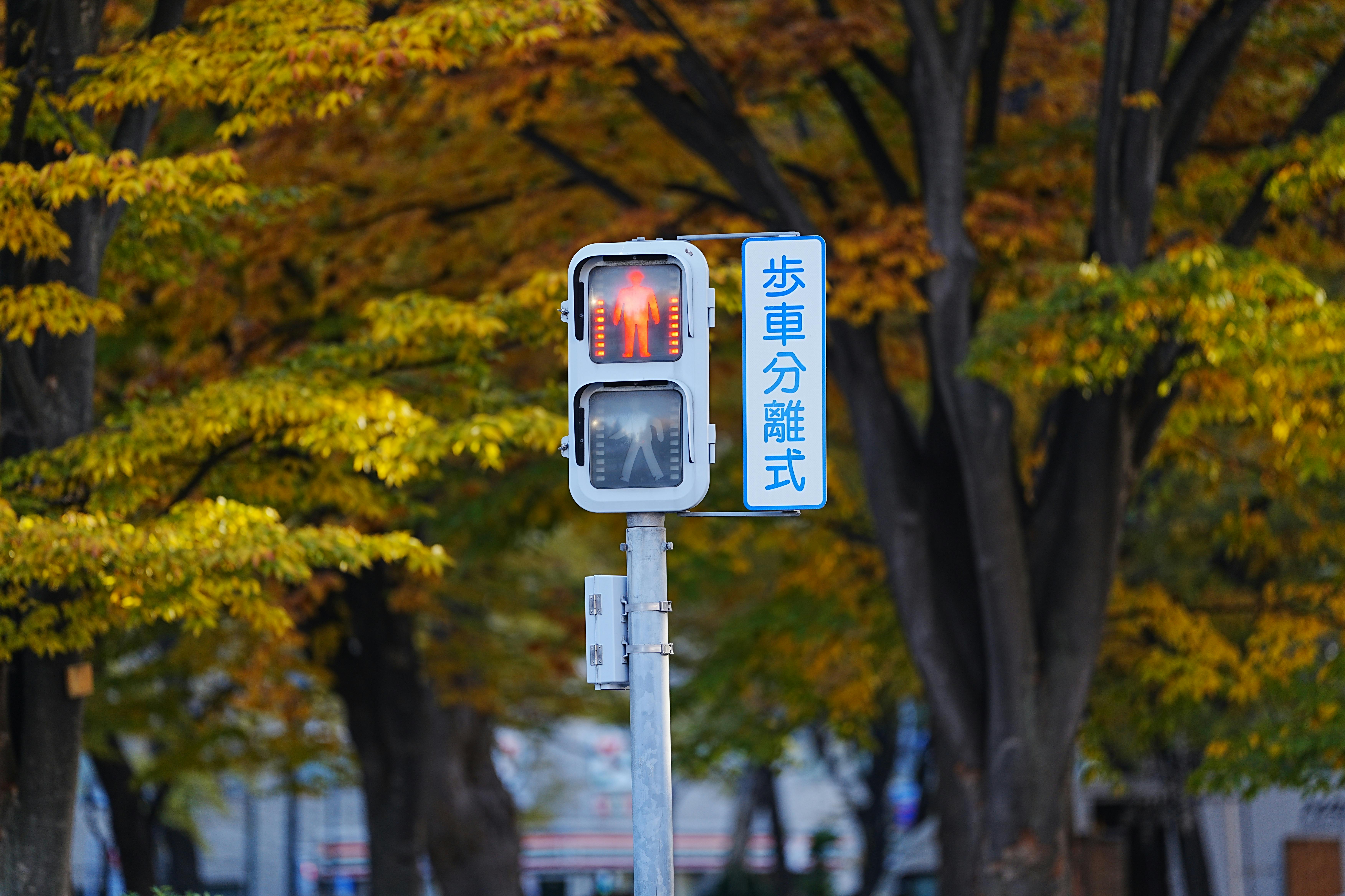 Navigating HOA Rules: Considerations for Real Estate Agents, Buyers and Sellers — Photo by Cheng on Pexels