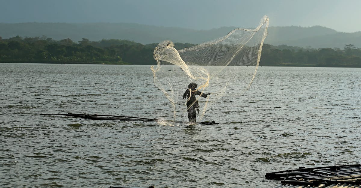 Lake Fishing: Navigating Change in a Competitive Environment