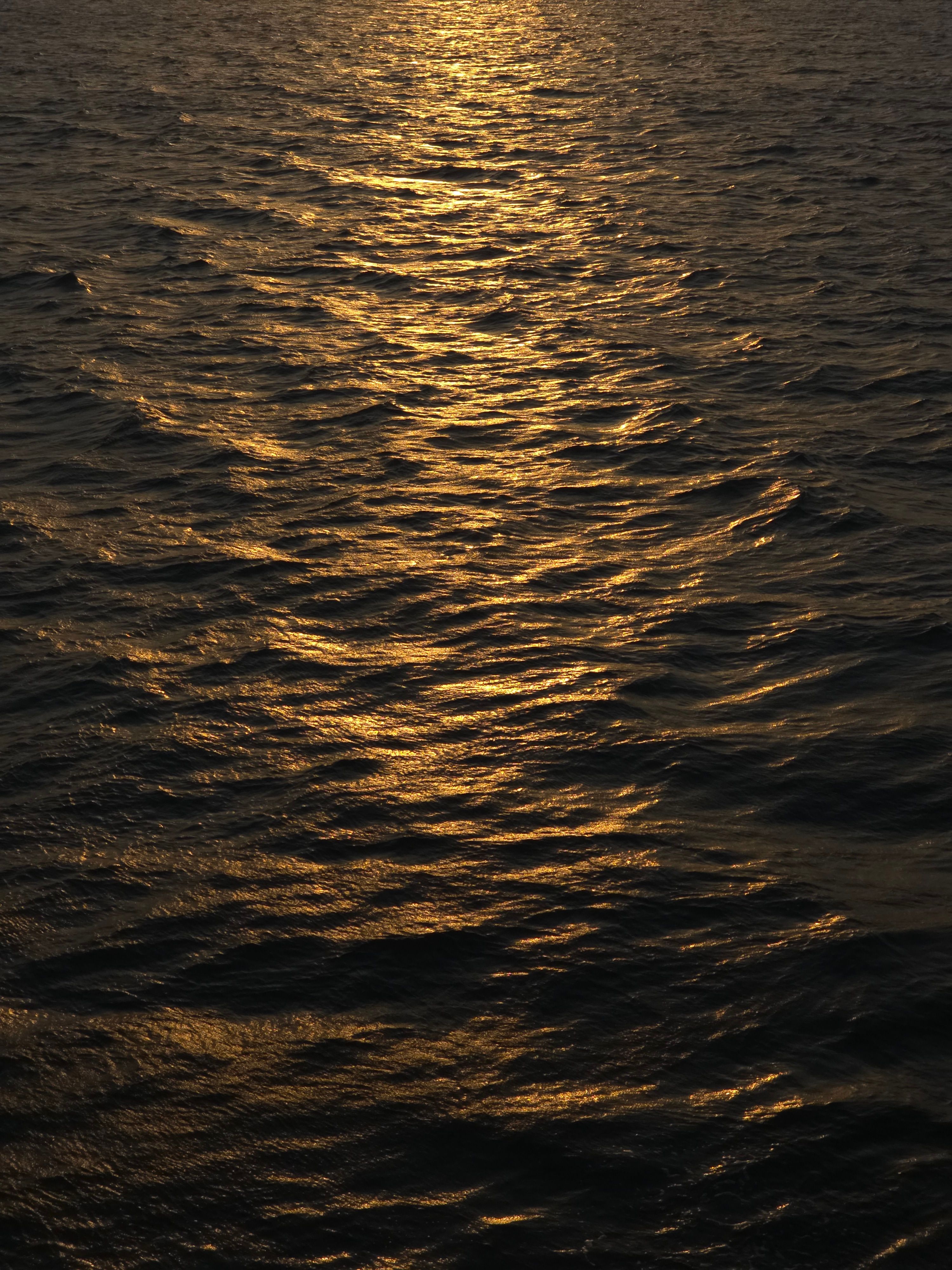 Golden Sunset Reflections on Calm Ocean Waves · Free Stock Photo