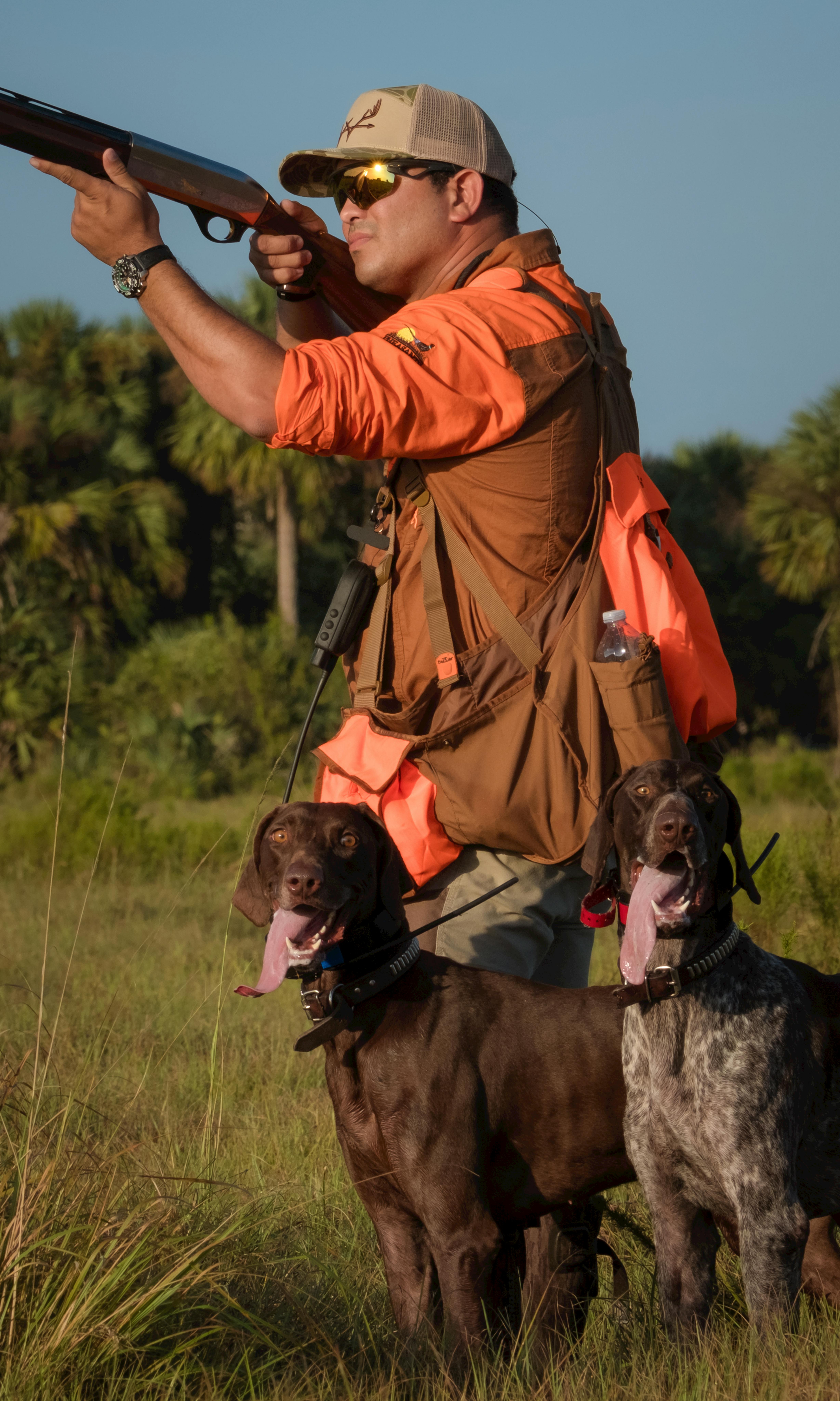 Gun dog with trainer in a field