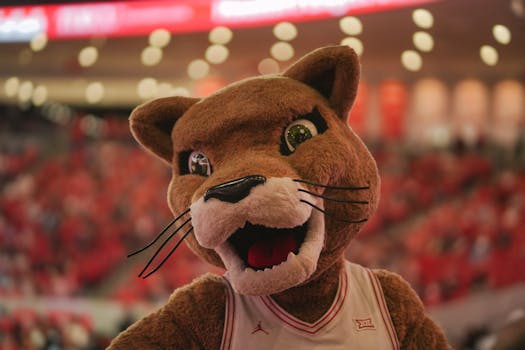 Energetic cougar mascot performing at a college basketball game indoors.