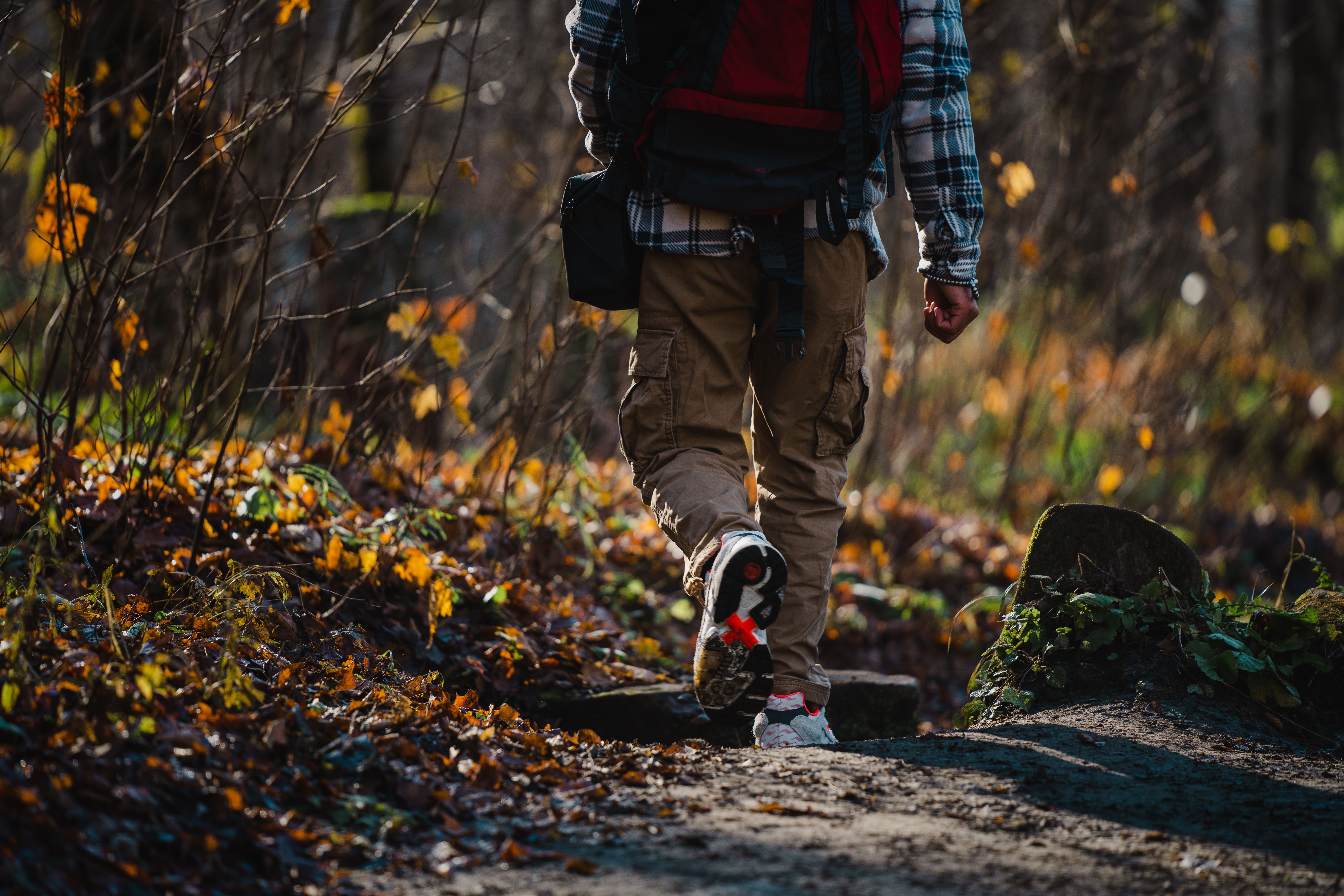A person hiking a scenic fall forest trail surrounded by vibrant autumn leaves.