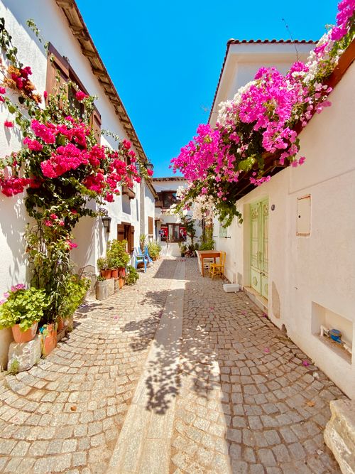 Free Explore a vibrant and colorful alley in Sığacık, İzmir adorned with bougainvillea. Stock Photo