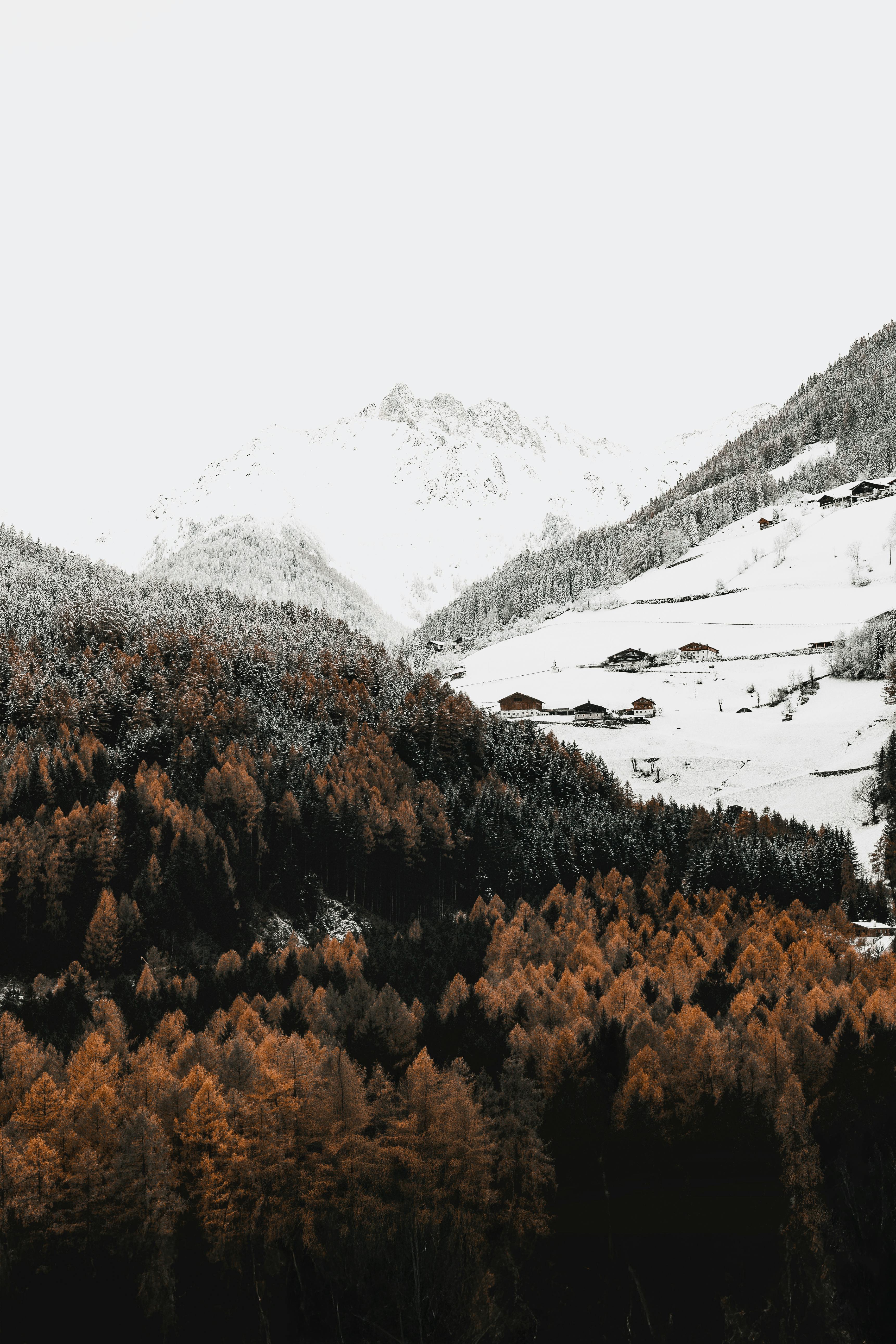 Scenic view of a snowy mountain and autumn forest, perfect for travel and nature themes.