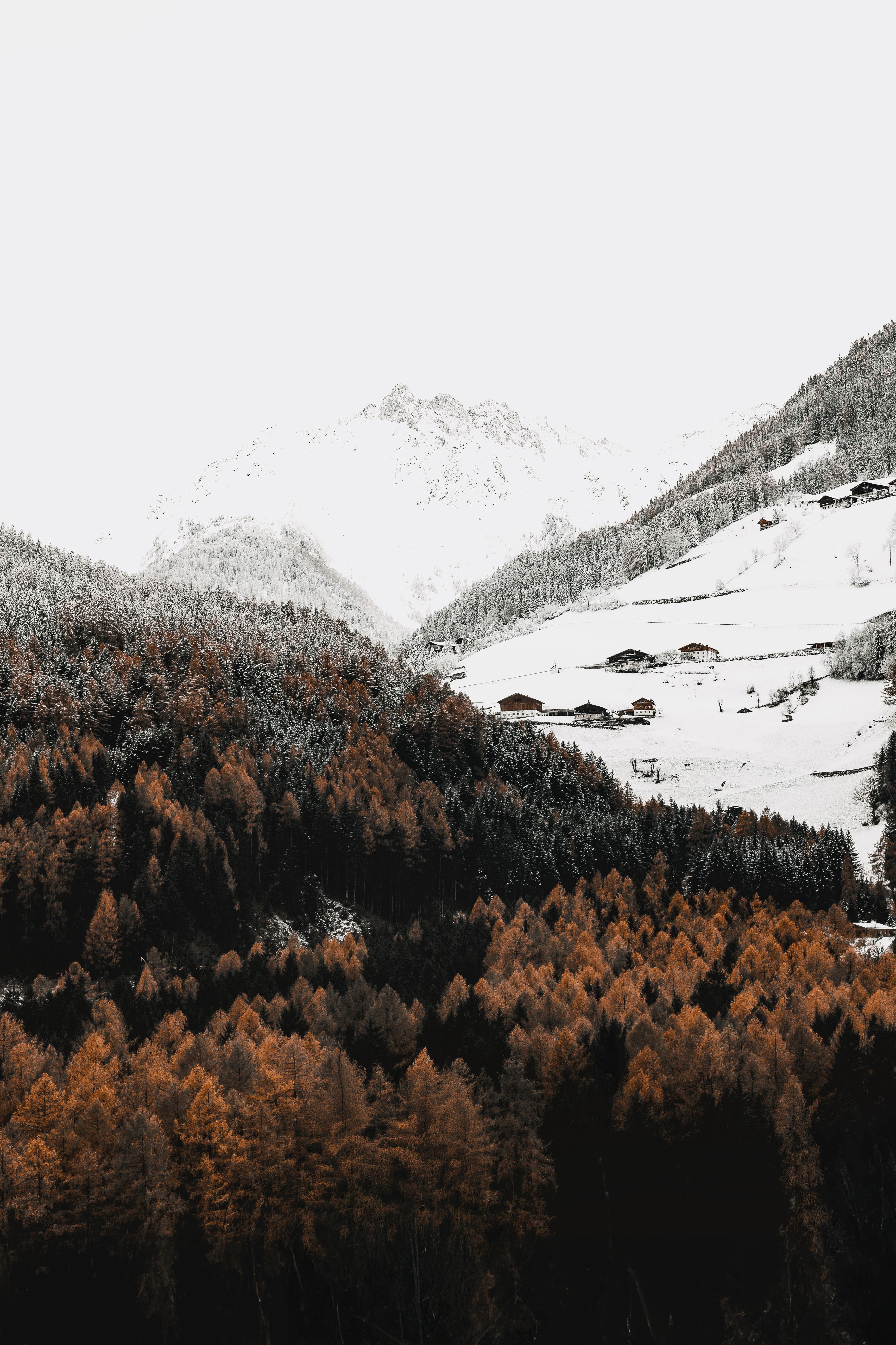 Snowy Mountain Landscape with Autumn Forest · Free Stock Photo